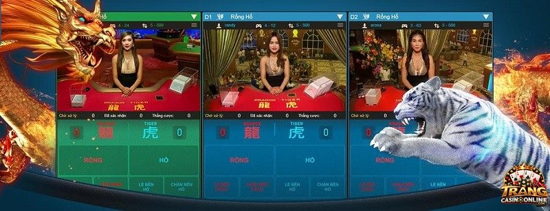 Kinh nghiệm đặt cược vào các cửa cược trong Rồng Hổ cho người mới 