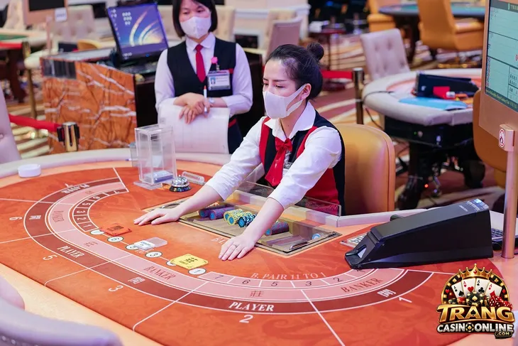 Dealer là người chịu trách nhiệm vận hành trò chơi