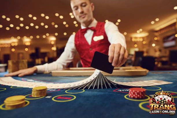Người trực tiếp chia bài trong casino được gọi là Dealer
