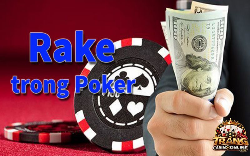 Hiểu Rake là gì trong Poker rất hữu ích